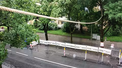 Eichhörnchenseil München Eichhörnchenseil München