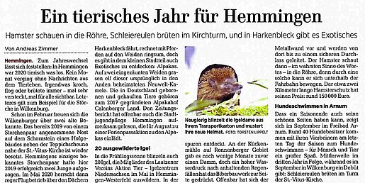 Ein tierisches Jahr für Hemmingen - Neue Presse Hannover