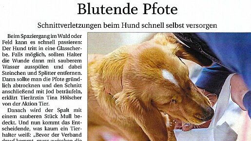Blutende Pfote – Passauer Neue Presse