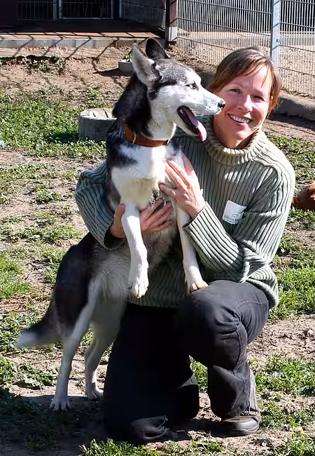 Animal Hoarding Fall Hohengörsdorf 