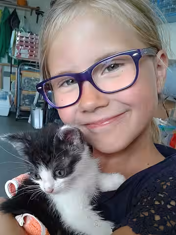 Mit einer Katze schmusen tut gut. Mit einer Katze schmusen tut gut.