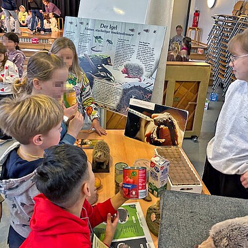 Am Infostand zum Thema Igel. Am Infostand zum Thema Igel.