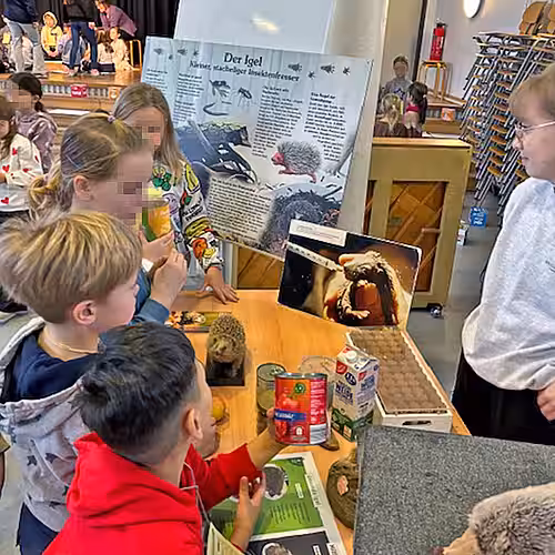 Am Infostand zum Thema Igel.