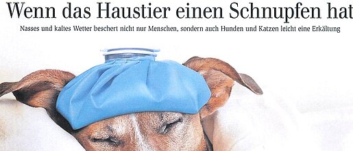 19. Oktober 2024 | General-Anzeiger, Bonn | Wenn das Haustier einen Schnupfen hat