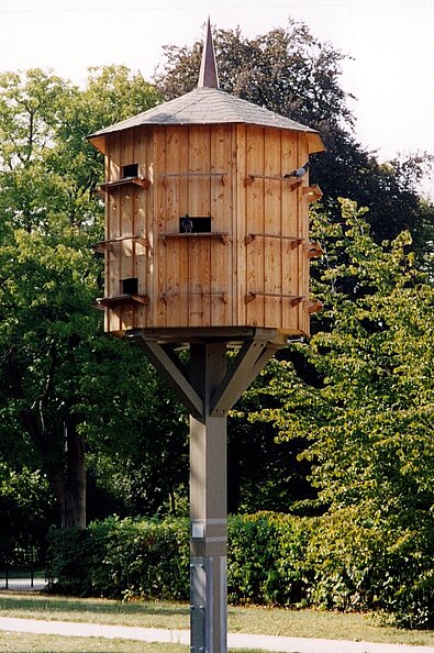 betreuter Stadttauben-Schlag