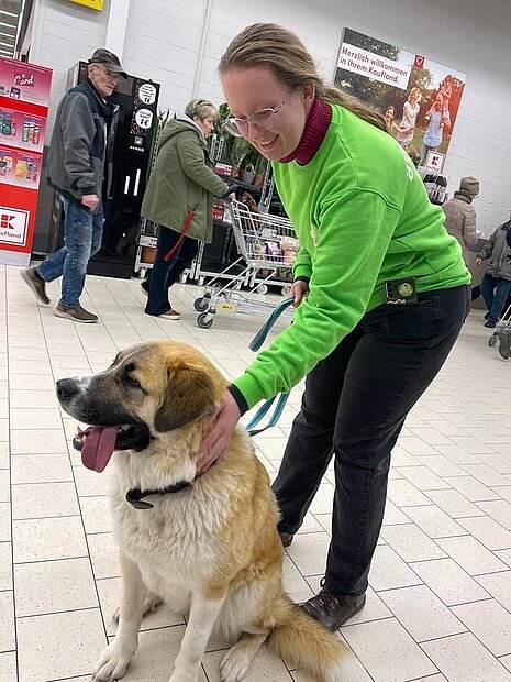 Der clevere Hund lief gleich zum aktion tier Stand.