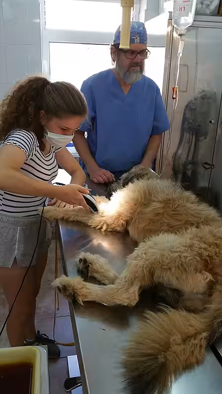 Spannende Einblicke in die Arbeit des Tierarztes.