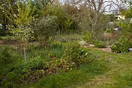 Der tierfreundliche Garten ist bunt und ein bisschen wild. 