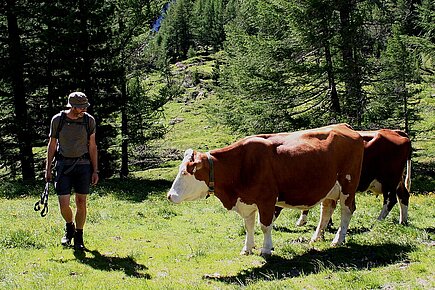 Wanderer auf der Alm