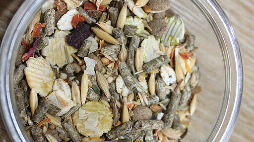 Hamster-Trockenfutter in einer Schale