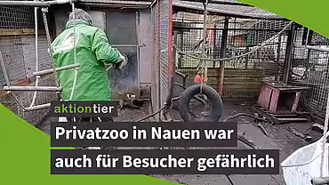 aktion tier Animal Hoarding-Fall: Privatzoo in Nauen war auch für Besucher gefährlich