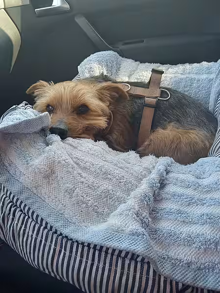 „auf dem Weg zur Arbeit“