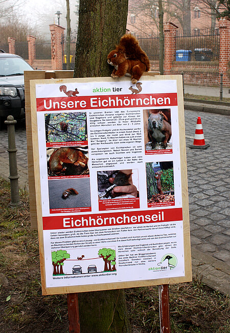 Infotafel Eichhörnchenseil.