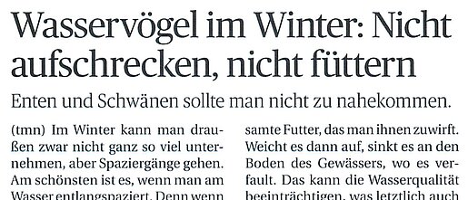 15.02.2025 | Neuss -Grevenbroicher Zeitung | Wasservögel im Winter: Nicht aufschrecken, nicht füttern