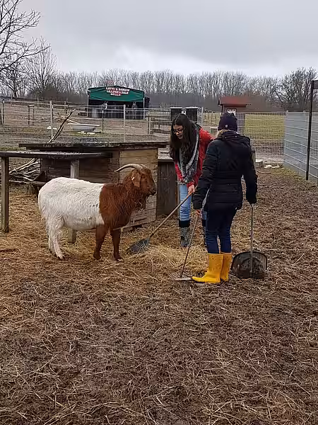 © aktion tier Lottihof