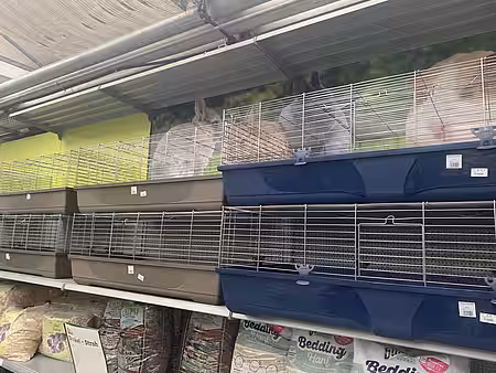 Kleintierkäfige in einer Zoohandlung.