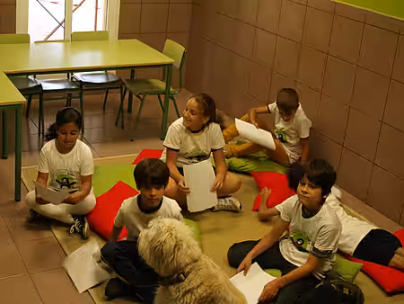 Kinder im Tierschutzzimmer Teneriffa 