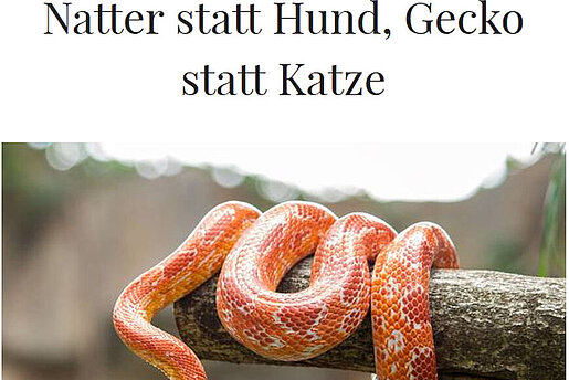 Generalanzeiger, 06. Juni 2016