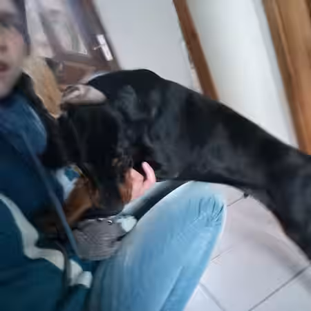 Kenzo wurde viel zu früh von der Mutter getrennt Kenzo wurde viel zu früh von der Mutter getrennt