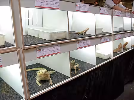 Wildtiere in Schauvitrinen auf einer Exotenbörse Wildtiere in Schauvitrinen auf einer Exotenbörse