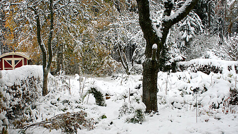 Tief verschneiter Naturgarten