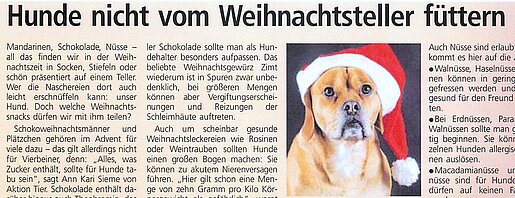 20.12.2024 | Main-Post, Kitzingen | Hunde nicht vom Weihnachtsteller füttern