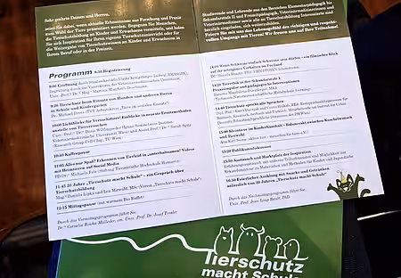 8 Stunden Programm 