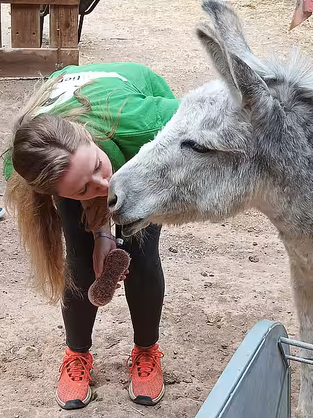 Das nennt man Liebe auf den ersten Bürstenstrich.