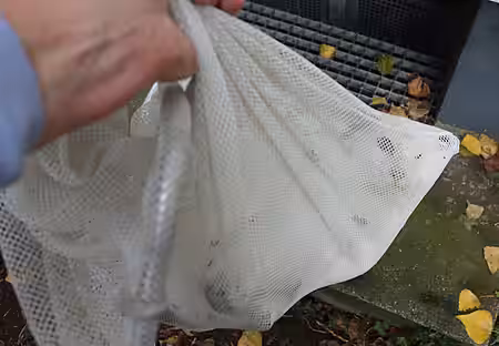 Im Keschernetz ging es mit Theo zurück ans Tageslicht.