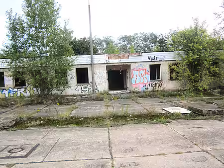 In Zossen erhängte Katze In Zossen erhängte Katze