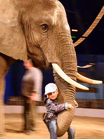 Pädagogisches Desaster: Hier wird Kindern gezeigt, wie man völlig ungestraft gefügig gemachte Mitlebewesen zum eigenen Vergnügen benutzen darf.
