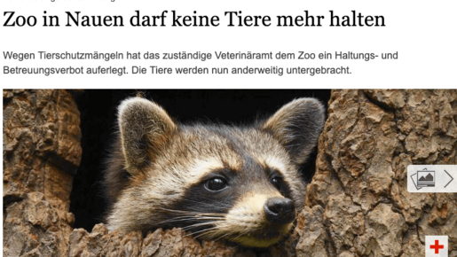 Zoo in Nauen darf keine Tiere mehr halten – Der Tagesspiegel
