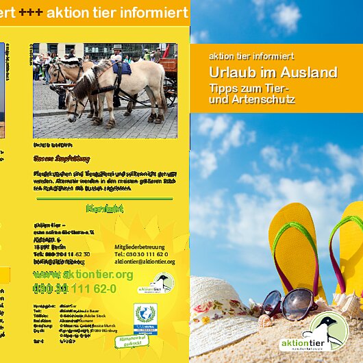 Flyer URLAUB IM AUSLAND - Tipps zum Tier- und Artenschutz 