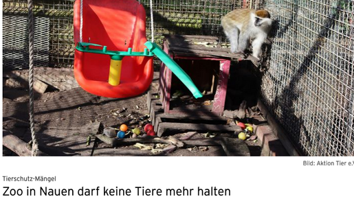 Zoo in Nauen darf keine Tiere mehr halten – RBB 24
