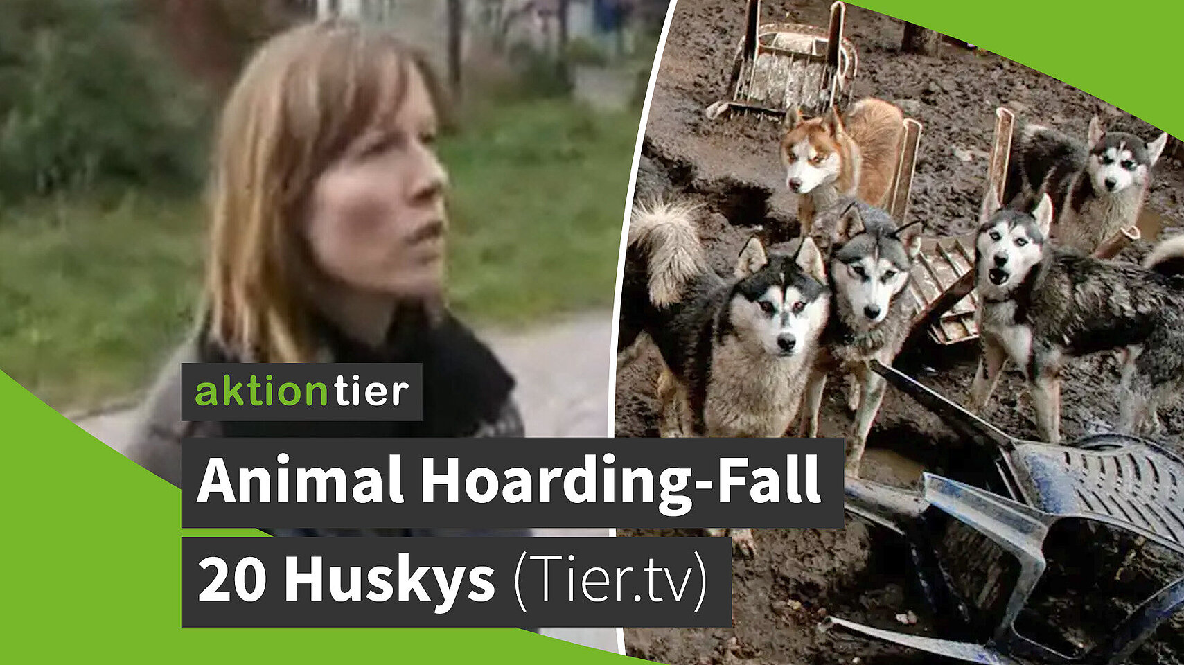 Animal Hoarding-Fall mit 20 Huskys in Brandenburg Hohengörsdorf (Tier.tv-Beitrag)