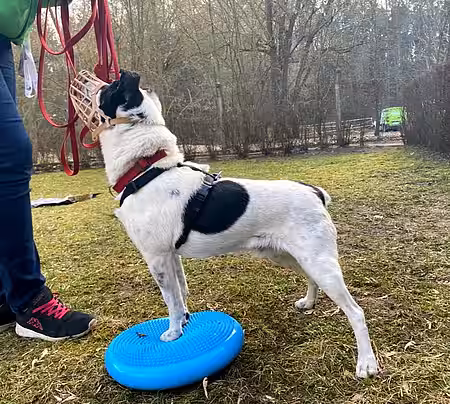 Anton ist ein alter Hase im Geschäft, hat aber trotzdem riesig Spaß. Anton ist ein alter Hase im Geschäft, hat aber trotzdem riesig Spaß.