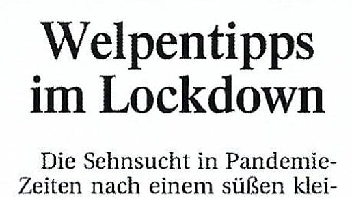 07.06.2021, Pfaffenhofener Kurier, Welpentipps im Lockdown