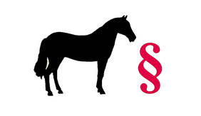 Rechturteil zum Thema Pferd