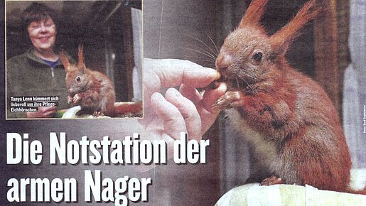 Die Notstation der armen Nager – Berliner Kurier