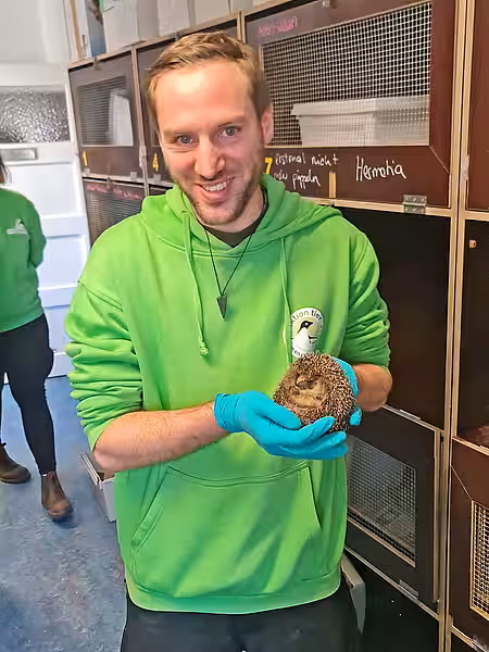 Der Mitarbeiter hält den Igel und lächelt in die Kamera.