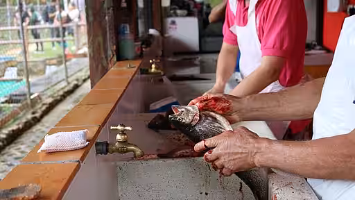 Ein frisch gefangener Fisch wird ausgenommen