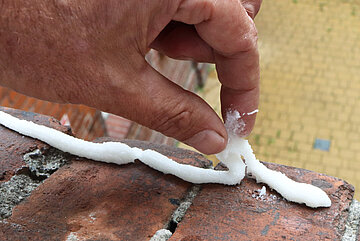 Taubenabwehrpasten sollten verboten werden