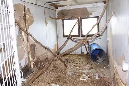 Ekelerregende Zustände im Käfig In den Käfigen der Affen herrschten ekelerregende Zustände