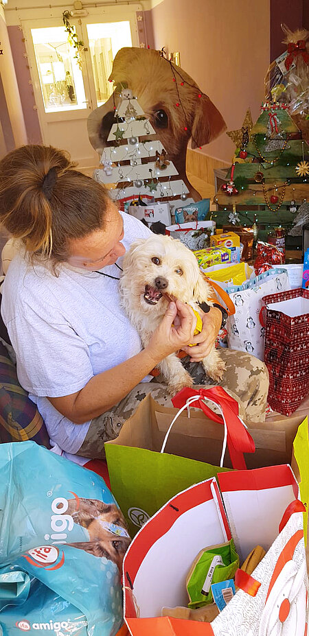 Für die Hunde unseres Tierheims gab es dank vieler Extra-Spenden auch eine kleine weihnachtliche Bescherung.