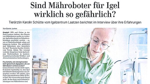 Sind Mähroboter für Igel wirklich so gefährlich? | Göttinger Tageblatt