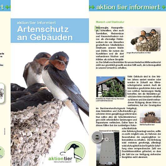 Flyer ARTENSCHUTZ AN GEBÄUDEN