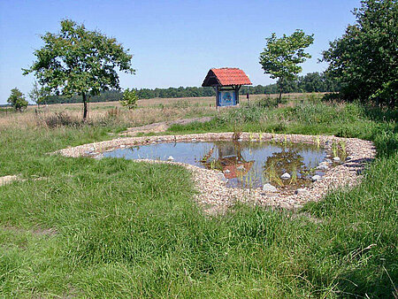 Naturlehrpfad und Biotop 