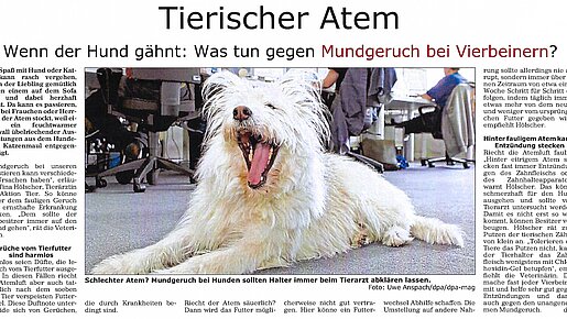 Gmünder Anzeiger – Tierischer Atem