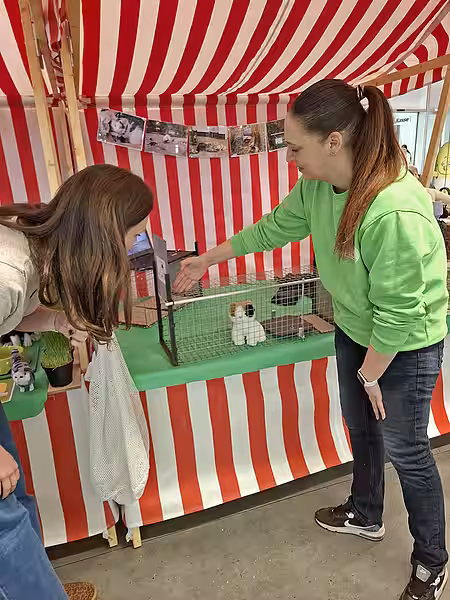 Eine Mitarbeiterin zeigt die Funktionsweise einer Lebendfalle für Katzen