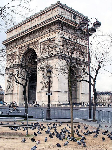 In Paris sollen aktuell etwa 90.000 Stadttauben leben.